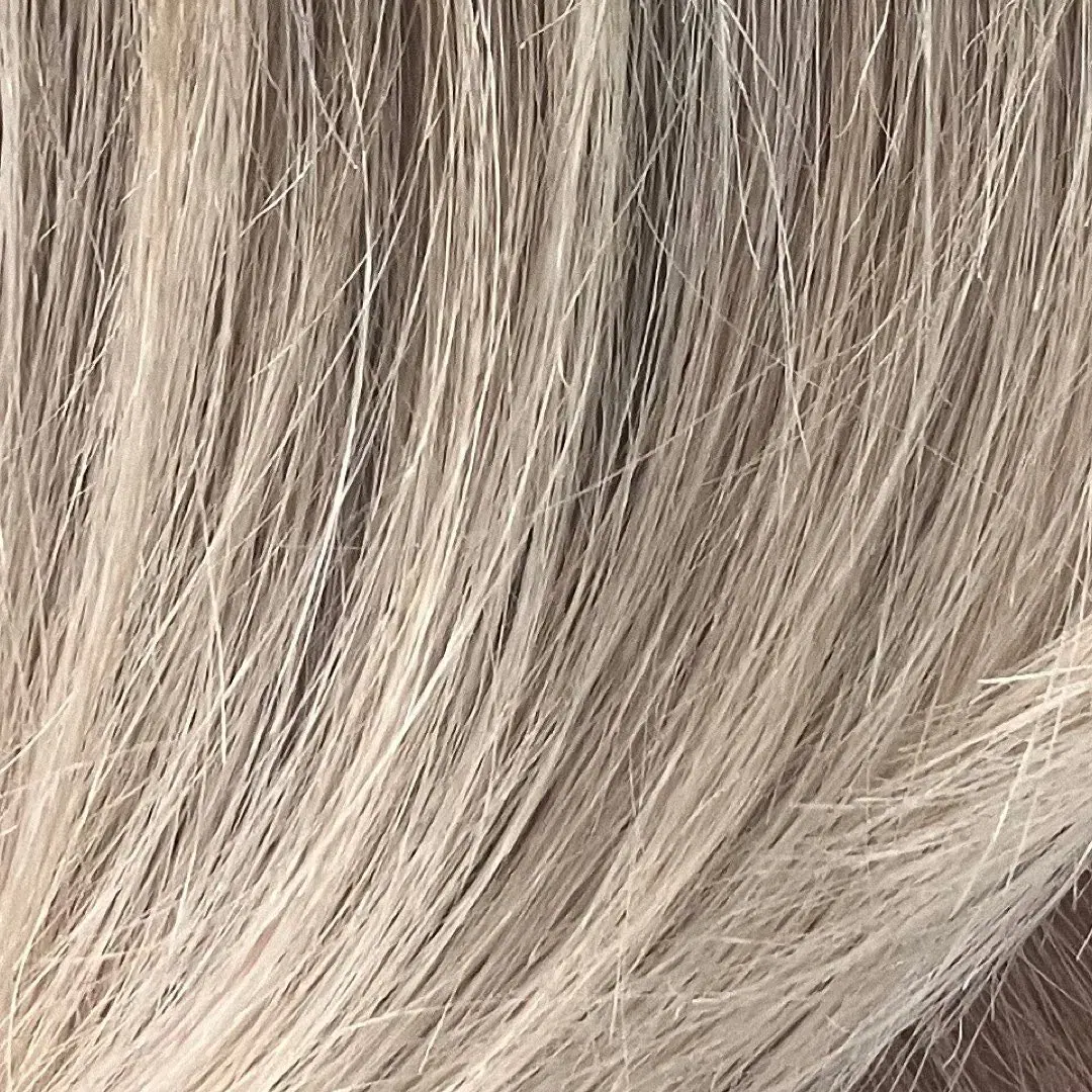 Couleur réalisée au salon